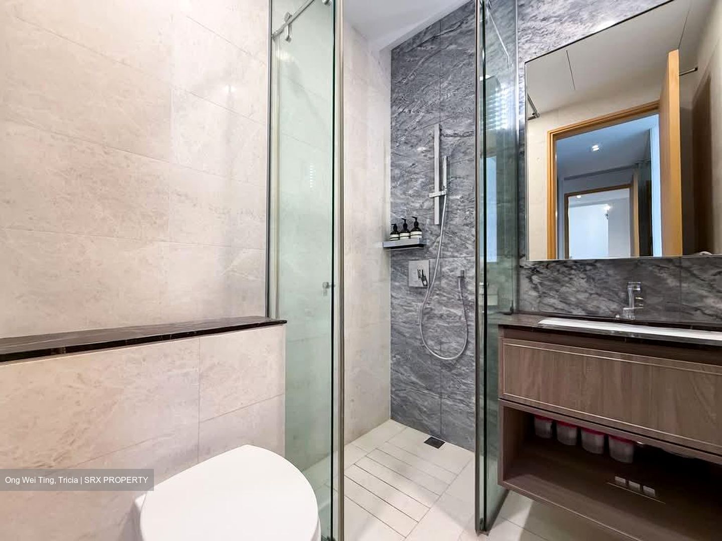 Goodwood Grand (D10), Apartment #534598701